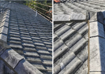 tile roof Repointing