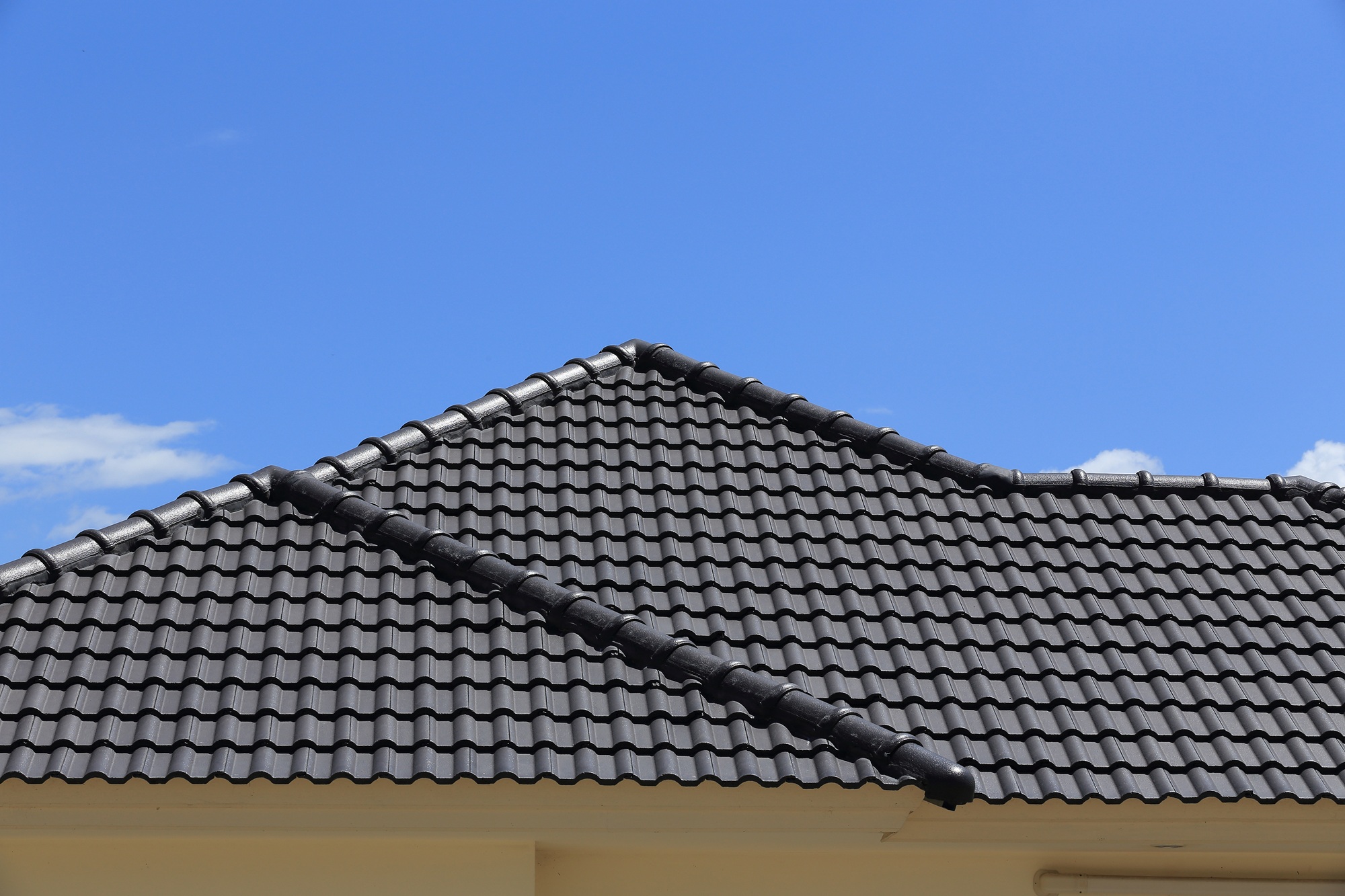 Roof Painting – Gold Coast Roof Painting - Gold Coast