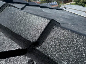 Roof Cleaning