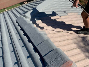 Roof Painting
